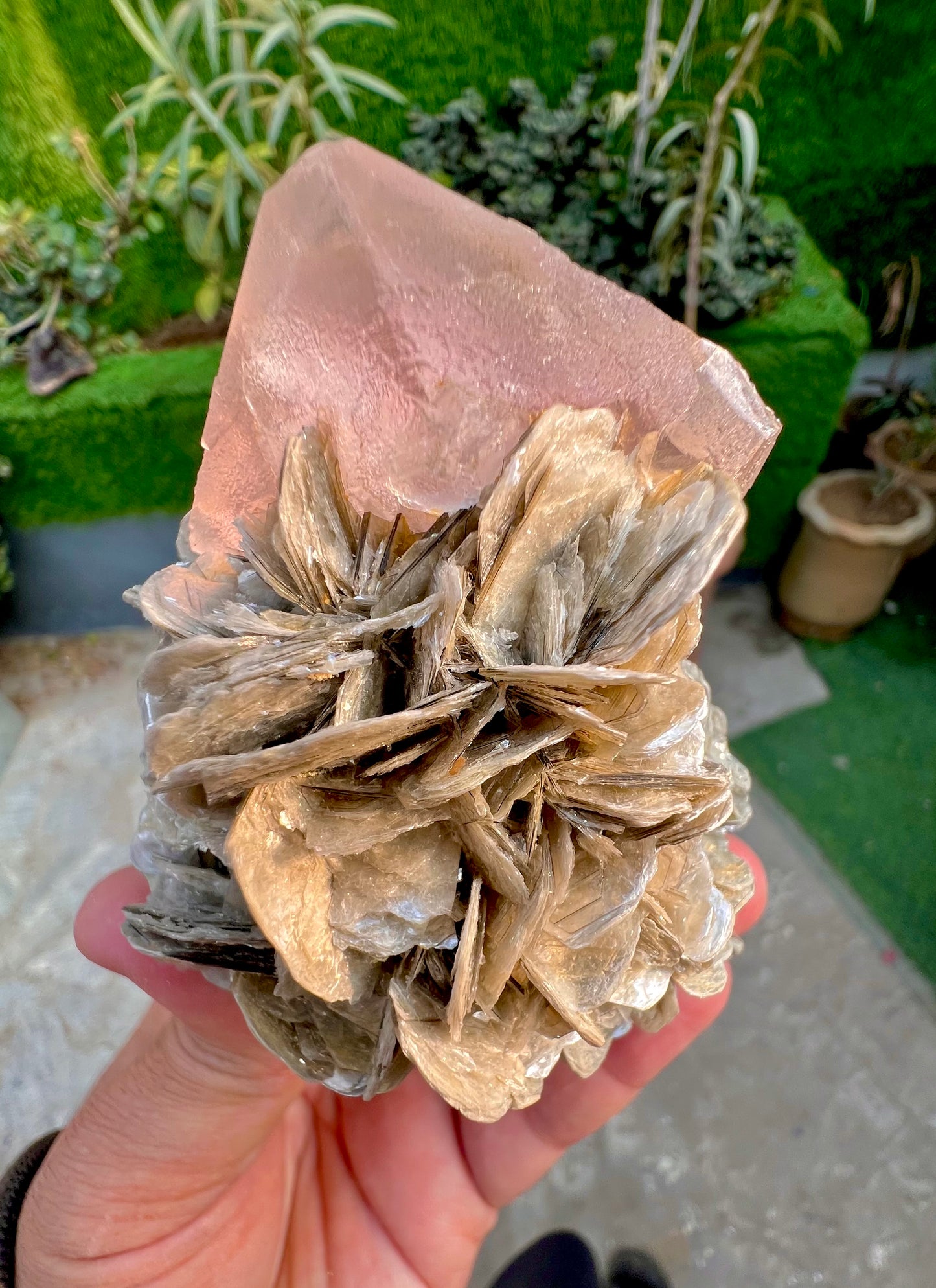 Pink Fluorite crystal on Mica, Fluorite Specimen from Pakistan, 355 Gram