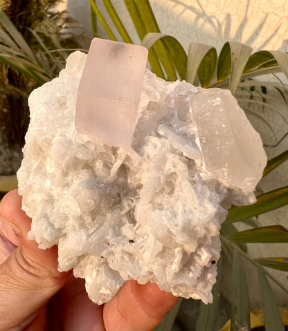 Morganite crysal with Quartz and Cleavlandite Albite from Afghanistan, 125 gram