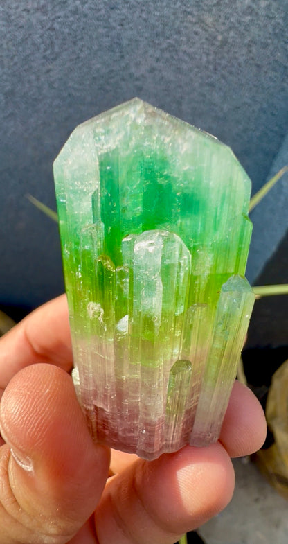 Multicolor Tourmaline Crystal from Paprok  - 76 gram