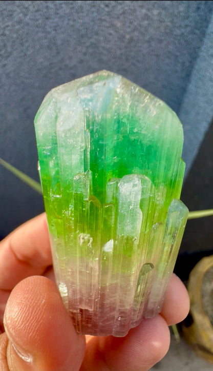 Multicolor Tourmaline Crystal from Paprok  - 76 gram