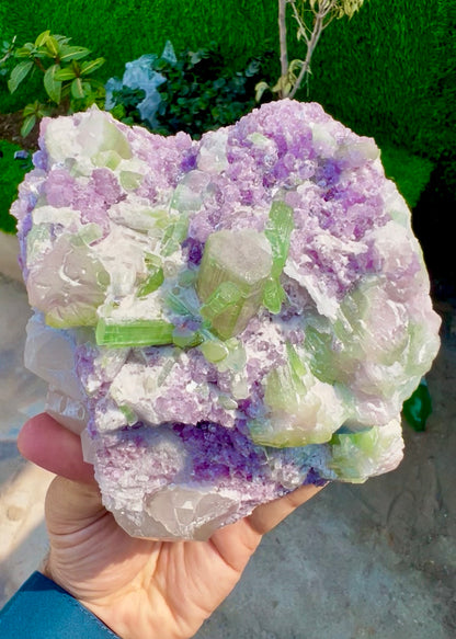 Watermelon Tourmaline Crystals with Lepidolite and Quartz from Paprok, 1300 gram