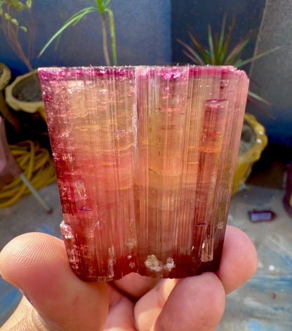 Red Tourmaline crystal from Afghanistan, 128 gram