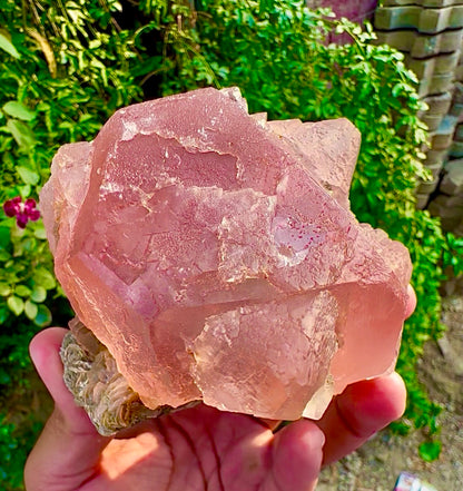 Pink Fluorite on Mica from Pakistan, 1127 gram