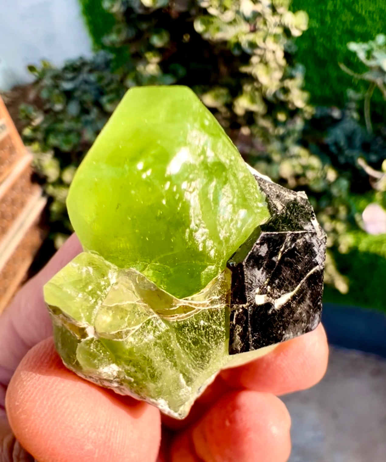 Peridot with Magnetite specimen from Pakistan, 28 gram