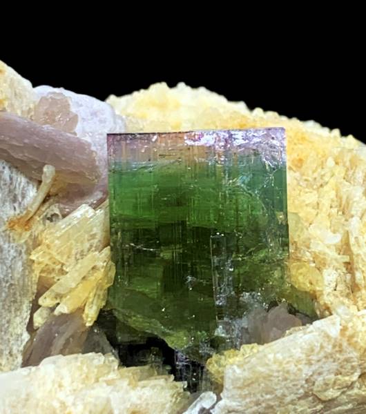 TERMINATED BICOLOUR TOURMALINE CRYSTAL WITH PINK LEPIDOLITE, ALBITE AND FELDSPAR FROM PAPROK, 88 GRAM