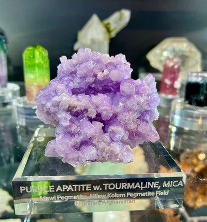 Purple Apatite Crystals Cluster from Afghanistan, 264 gram