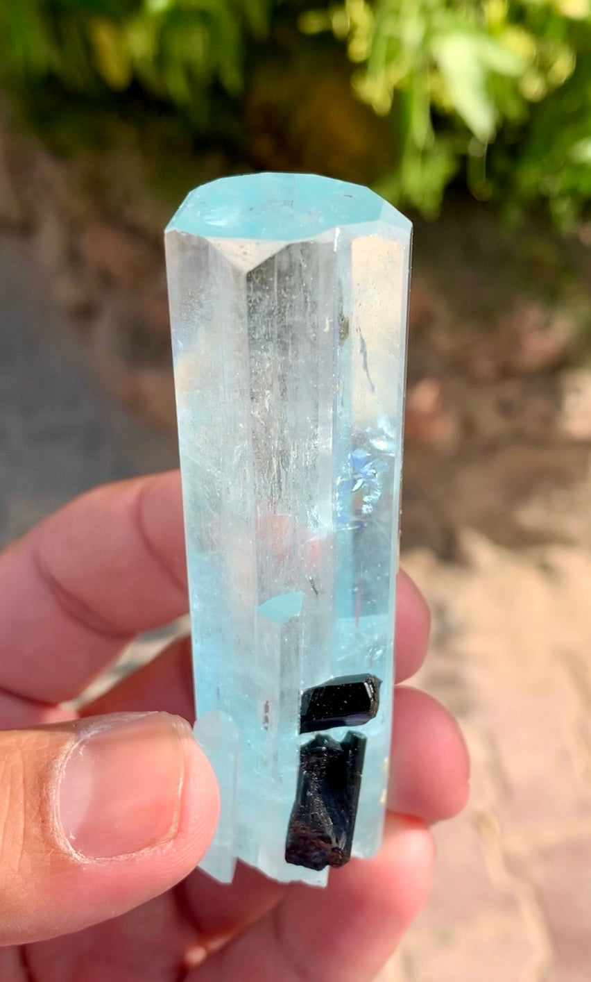 Aquamarine crystal with Schorl Tourmaline, 79 gram