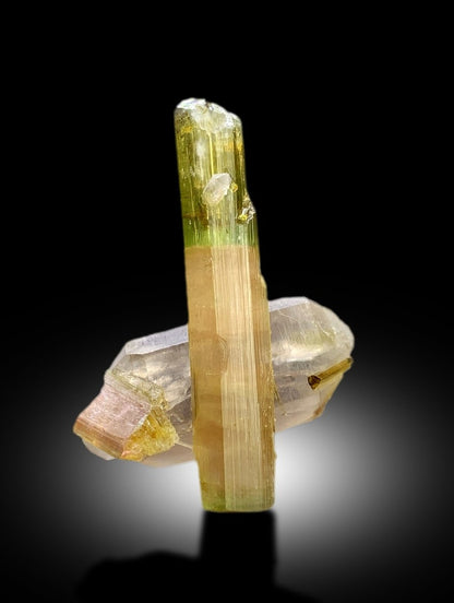 Natural Watermelon Tourmaline Crystal with Quartz, DT Tourmaline & DT Quartz, Paproke Tourmaline, Tourmaline Specimen - 67.50 CT
