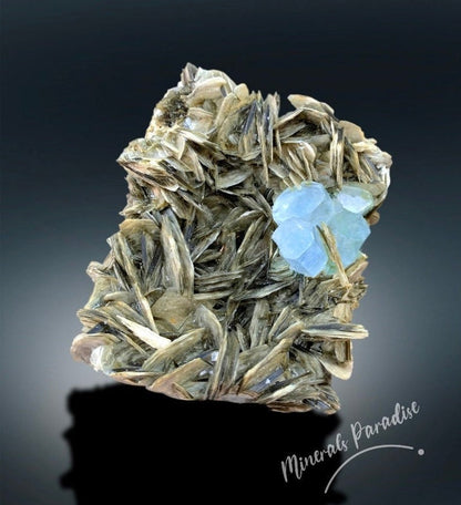 Natural Aquamarine Crystals with Muscovite Mica, Aquamarine Cluster, Aquamarine Specimen, Aquamarine for sale, 1441 gram