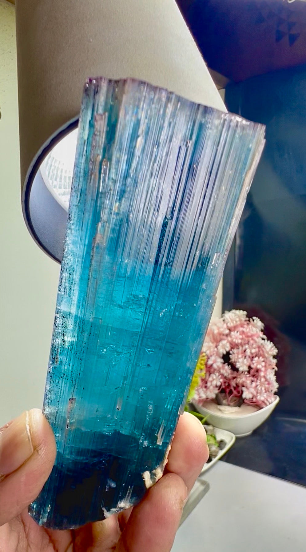 Pink Cap Indicolite Tourmaline crystal from Paprok Afghanistan , 381 gram