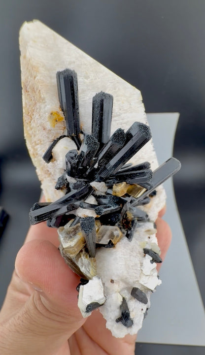 Schorl Tourmaline crystals on Microcline Feldspar from Pakistan, 186 gram