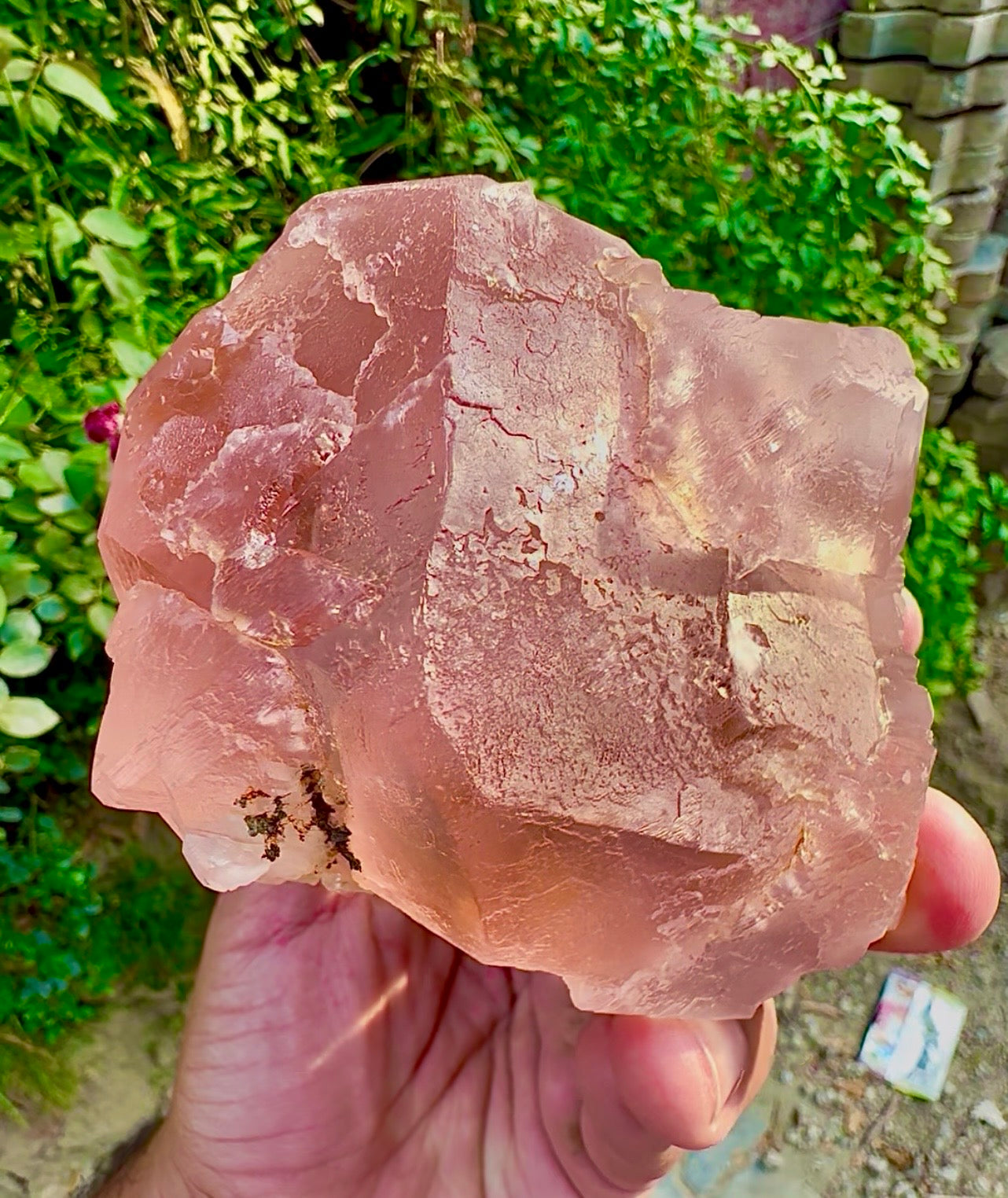 Pink Fluorite on Mica from Pakistan, 1127 gram