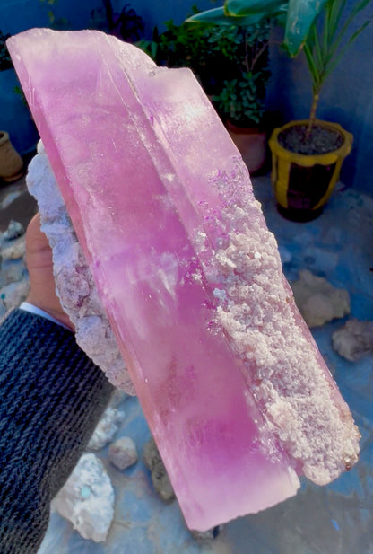Spodumene var Kunzite with Cleavlandite Albite from Afghanistan, 1231 gram