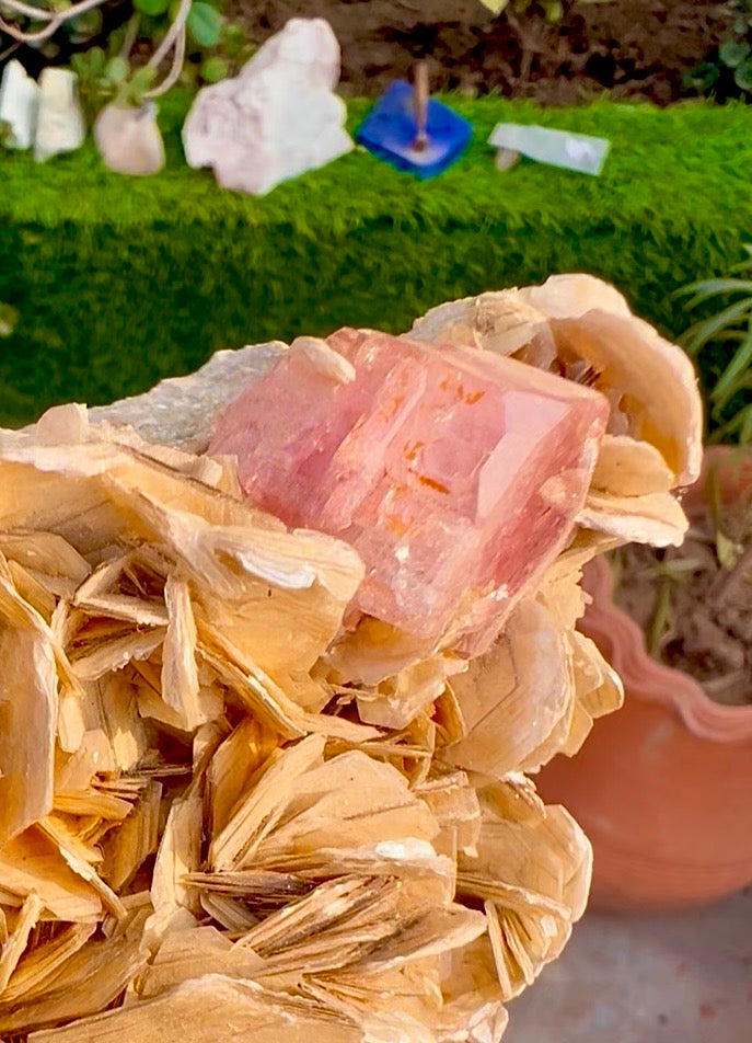 Pink Apatite with Mica from Pakistan, 713 Gram