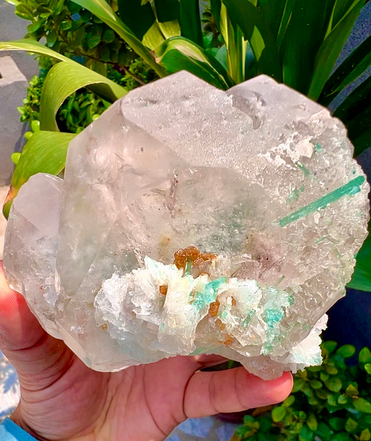Bicolor Beryl Morganite Aquamarine with Green Tourmaline, Microlite and Albite from Afghanistan, 576 gram