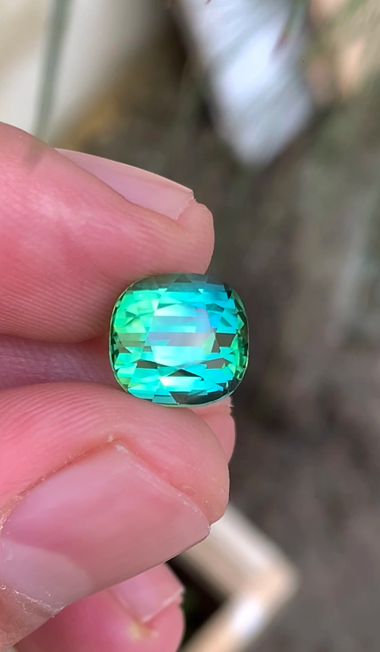 Presenting 7.05 cts Unique Combination of Bi-Color Tourmaline Gemstone