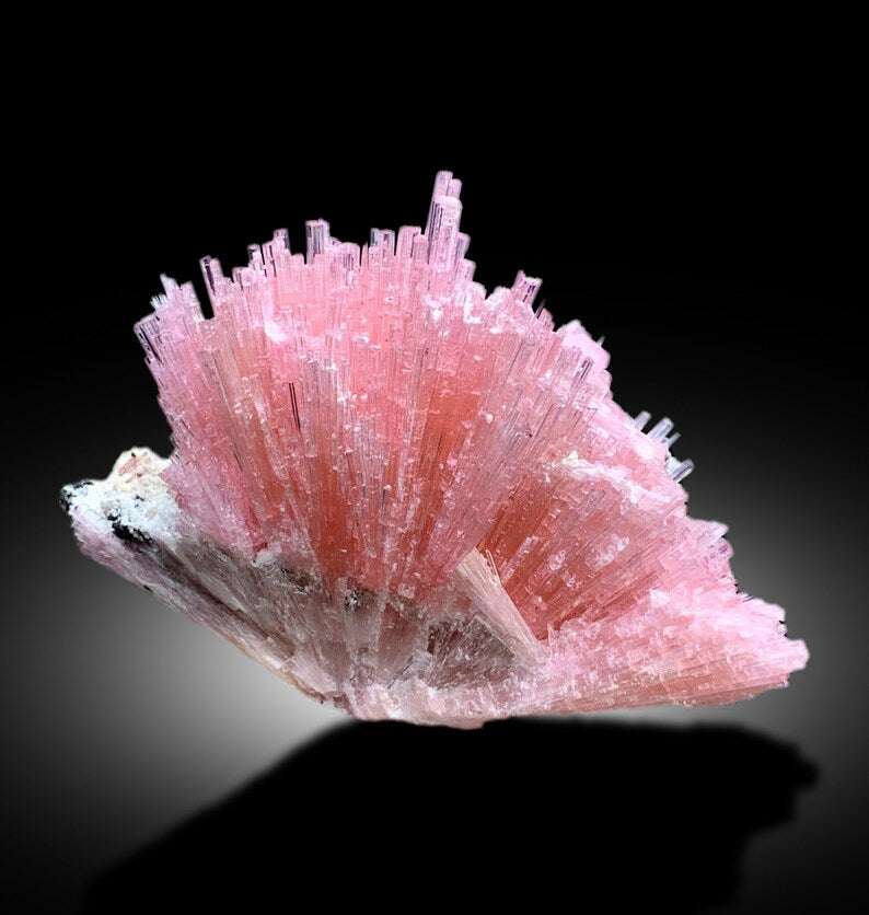190 gram tourmaline cluster complete profile
Rare pink tourmaline bunch from Skardu mine