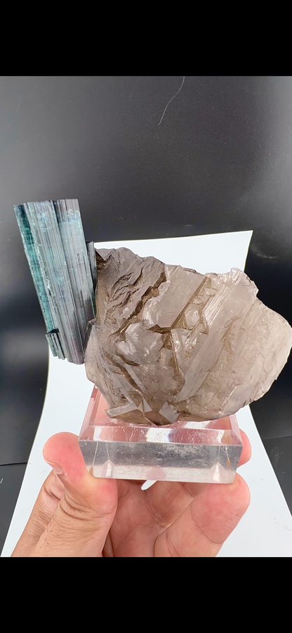 Indicolite Tourmaline on Smoky Quartz – Blue Pink Tourmaline Crystal Specimen, Paprok Afghanistan, 200 gram