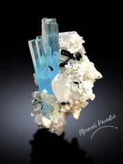 Blue Aquamarine Crystals with Schorl Tourmalines and Quartz, Aquamarine Specimen from Shigar valley Skardu Pakistan - 60 gram