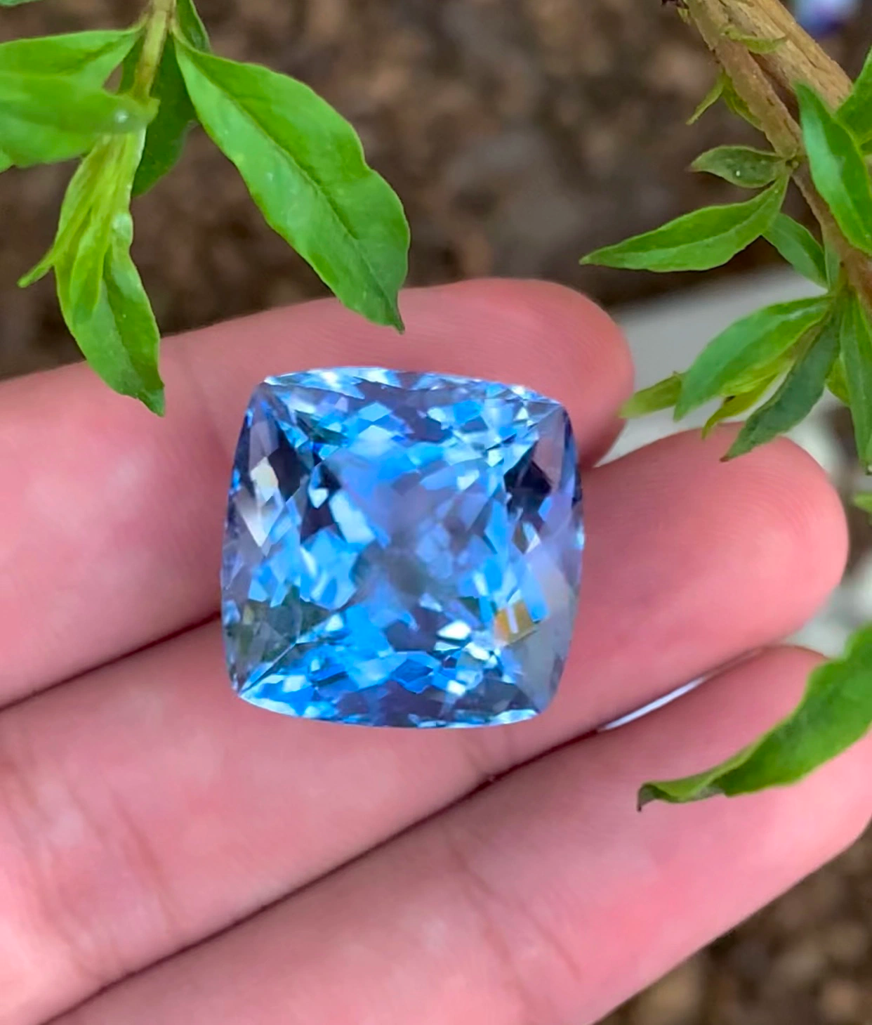 Presenting Santa Maria Color Aquamarine 50 Carats Piece