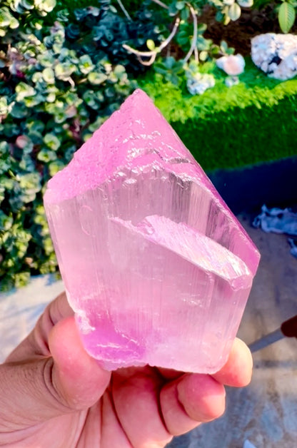Pink Kunzite Crystal from Afghanistan, 160 gram