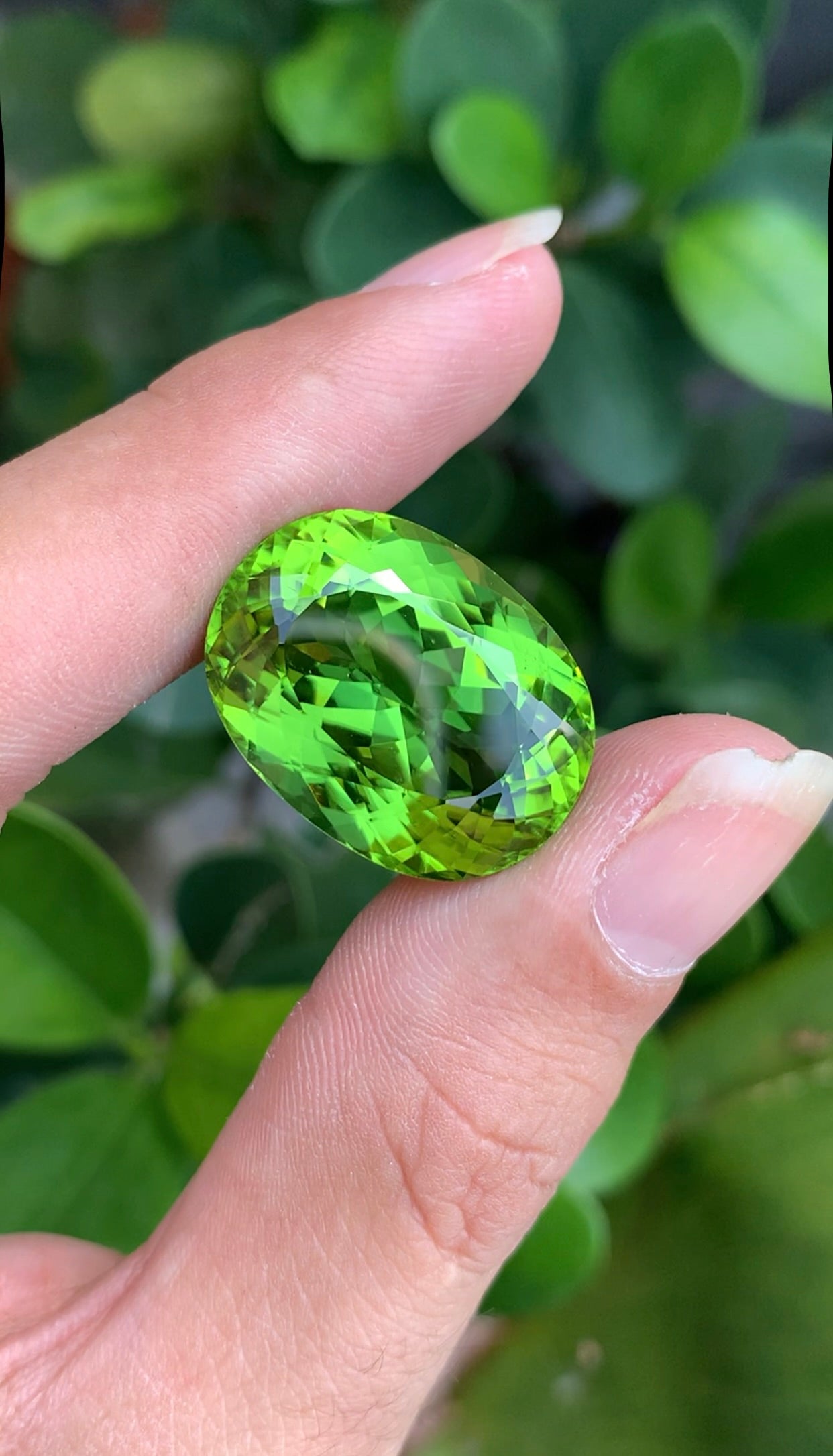 Natural Green Peridot 36.45 Ct Oval Brilliant Cut – Pakistan Peridot Gemstone