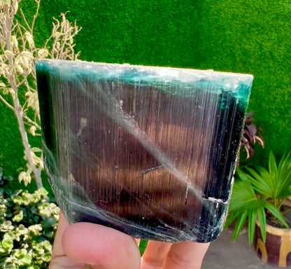 Blue Cap Tourmaline crystal from Afghanistan, 940 gram