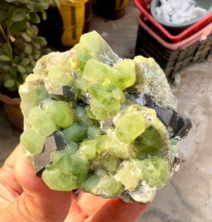 Peridot Crystals with Magnetite from Pakistan, 203 gram