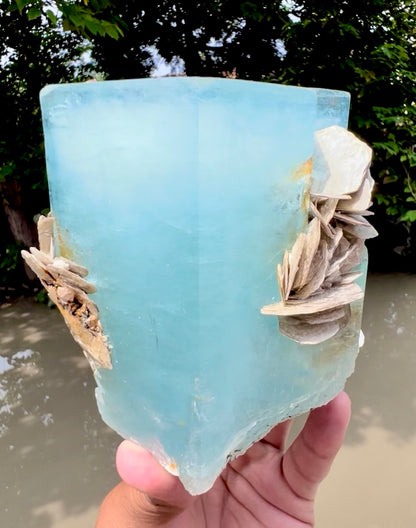 Aquamarine crystal with Muscovite Mica from Pakistan, 1433 gram
