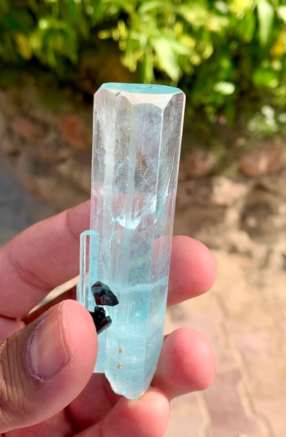 Aquamarine crystal with Schorl Tourmaline, 79 gram