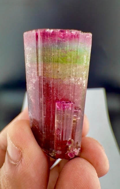 Rainbow Tourmaline crystal from Afghanistan, 125 carats