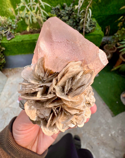 Pink Fluorite crystal on Mica, Fluorite Specimen from Pakistan, 355 Gram