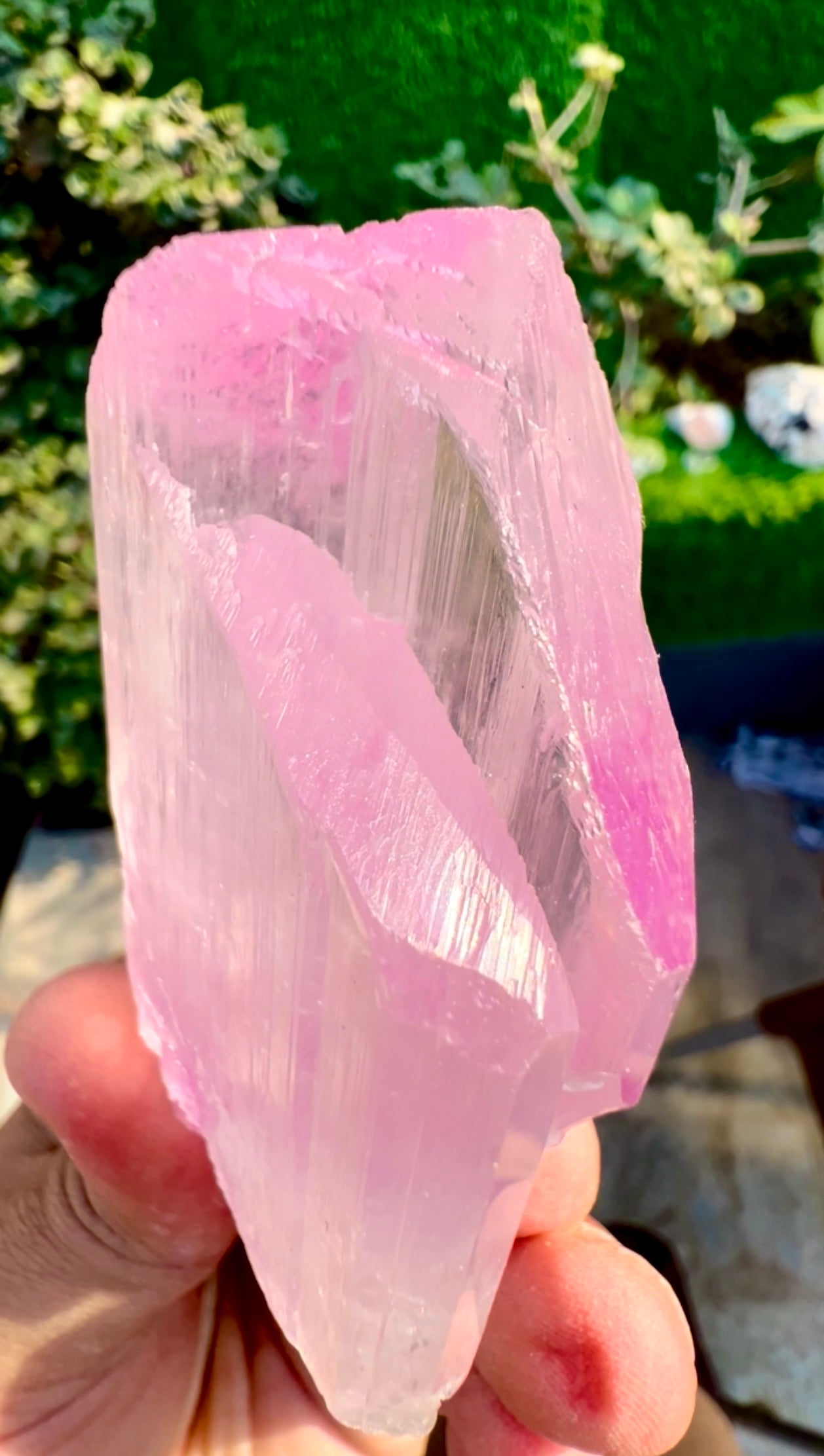 Pink Kunzite Crystal from Afghanistan, 160 gram
