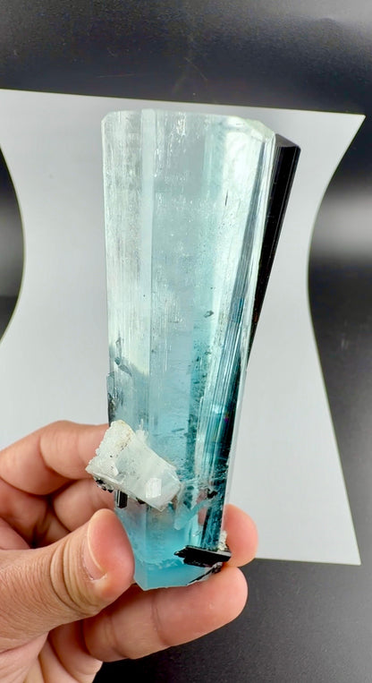 Aquamarine Crystal with Schorl from Pakistan, 160 Gram