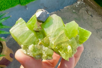 Peridot Crystals with Magnetite from Pakistan, 115 gram