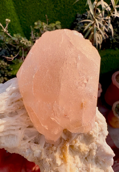 Morganite with Mica and Albite from Afghanistan, 699 gram