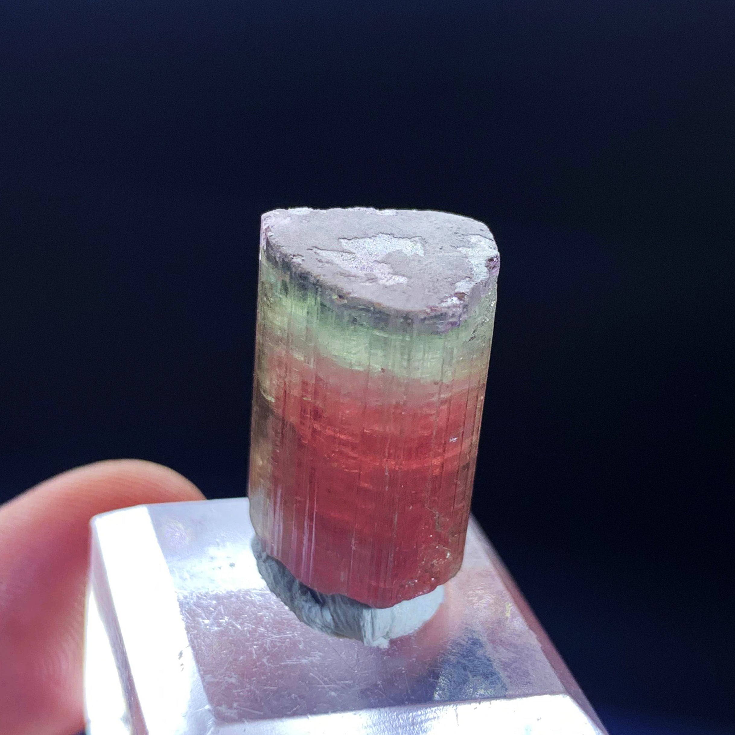 Blue Cap Tourmaline Crystal, Watermelon Crystal, Raw Tourmaline Pendant, Natural Crystal