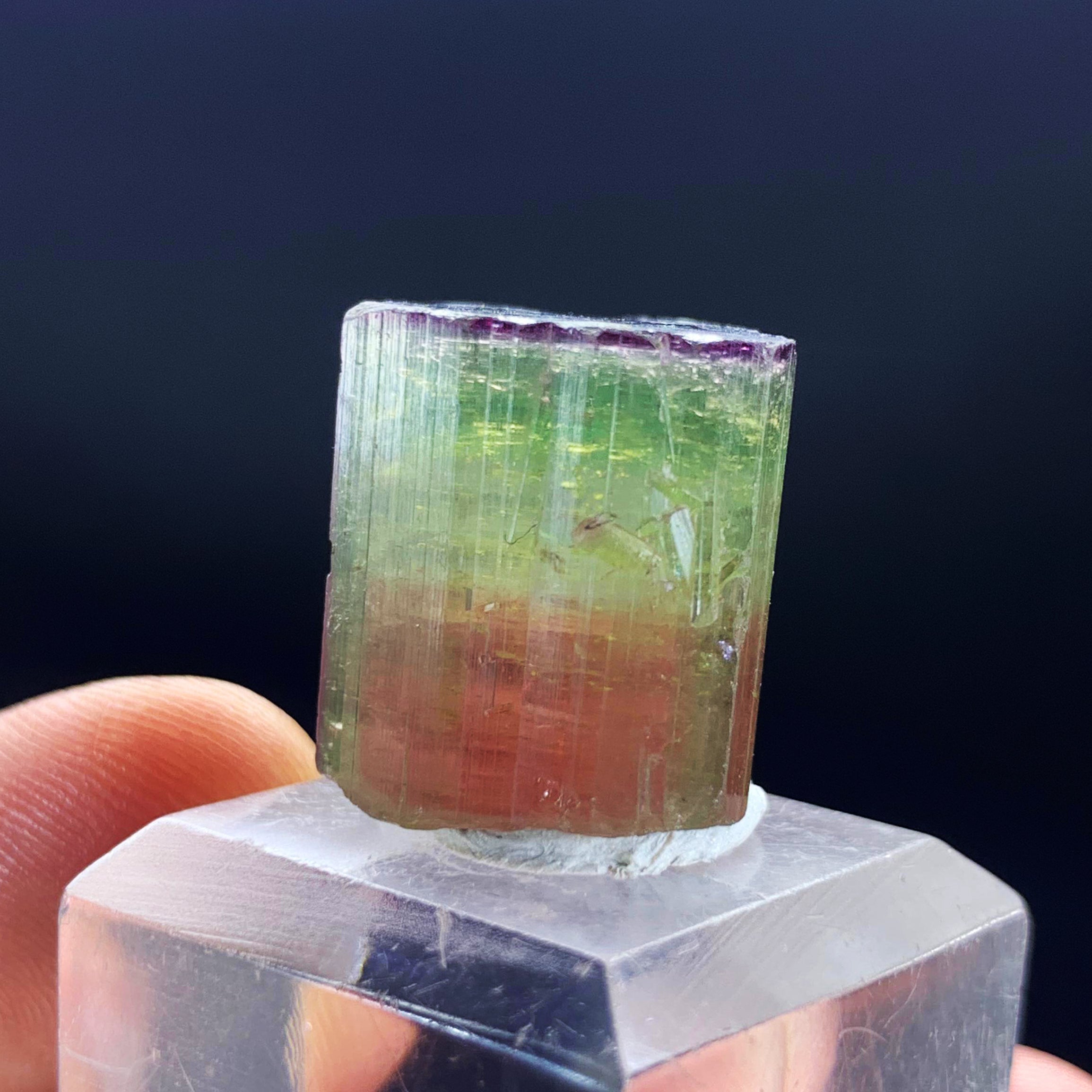 Watermelon Tourmaline Crystal, Raw Tourmaline Stone, Tri Color Tourmaline, Blue Cap Tourmaline