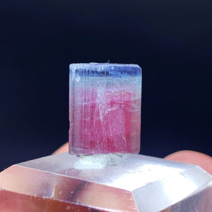 Watermelon Tourmaline Crystal, Raw Tourmaline Gemstone, Blue Cap Tourmaline