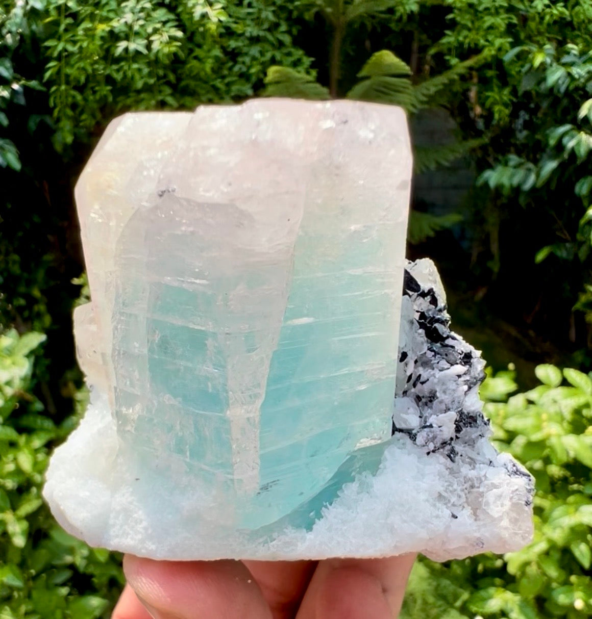 AquaMorganite Beryl with Tourmalines and Quartz on Albite from Afghanistan, 322 gram