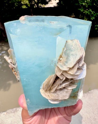 Aquamarine crystal with Muscovite Mica from Pakistan, 1433 gram