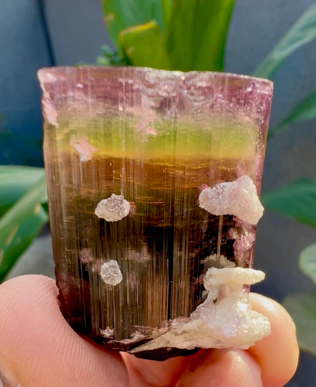 Tourmaline crystal with Lepidolite from Afghanistan, 55 gram
