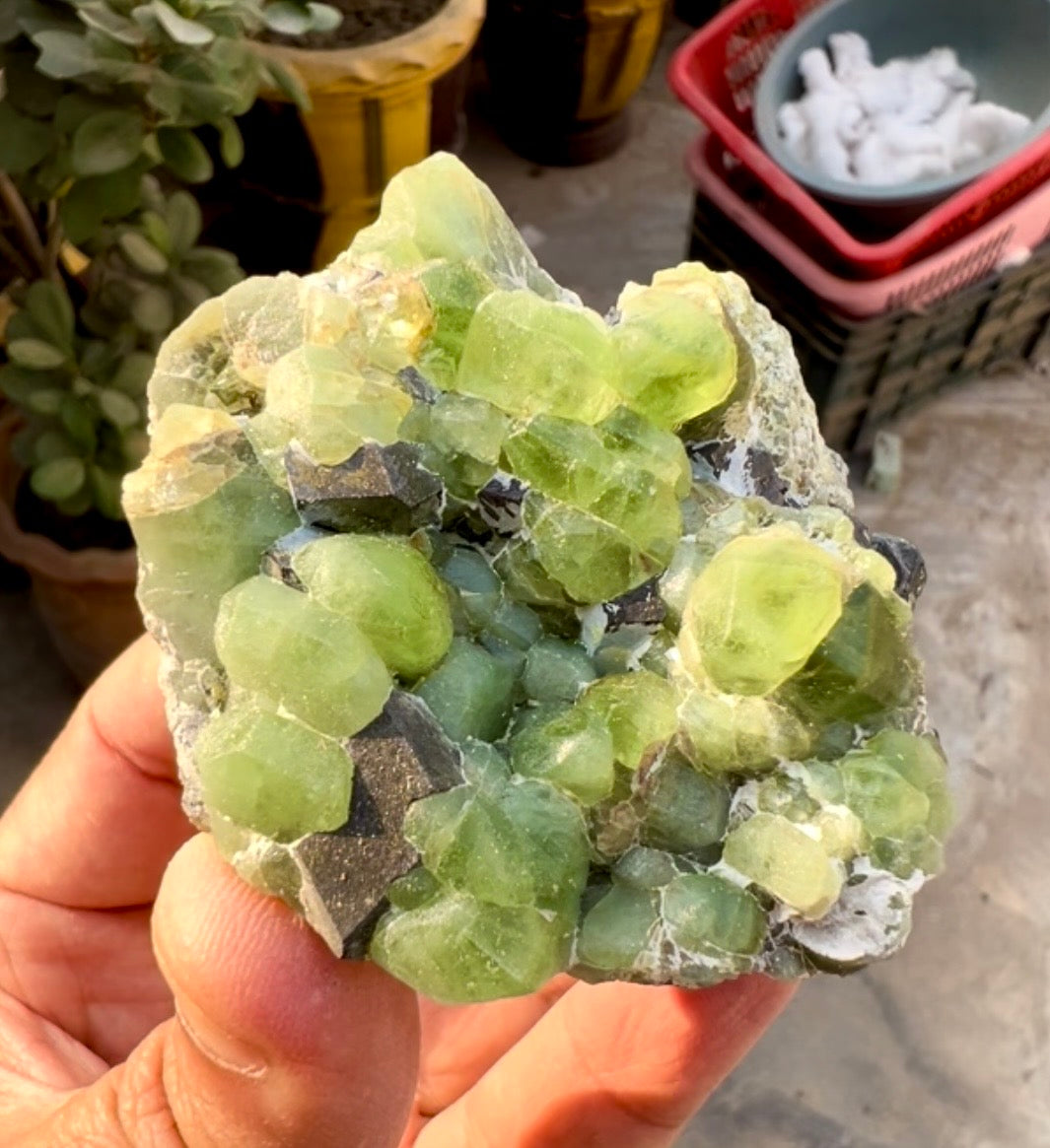 Peridot Crystals with Magnetite from Pakistan, 203 gram
