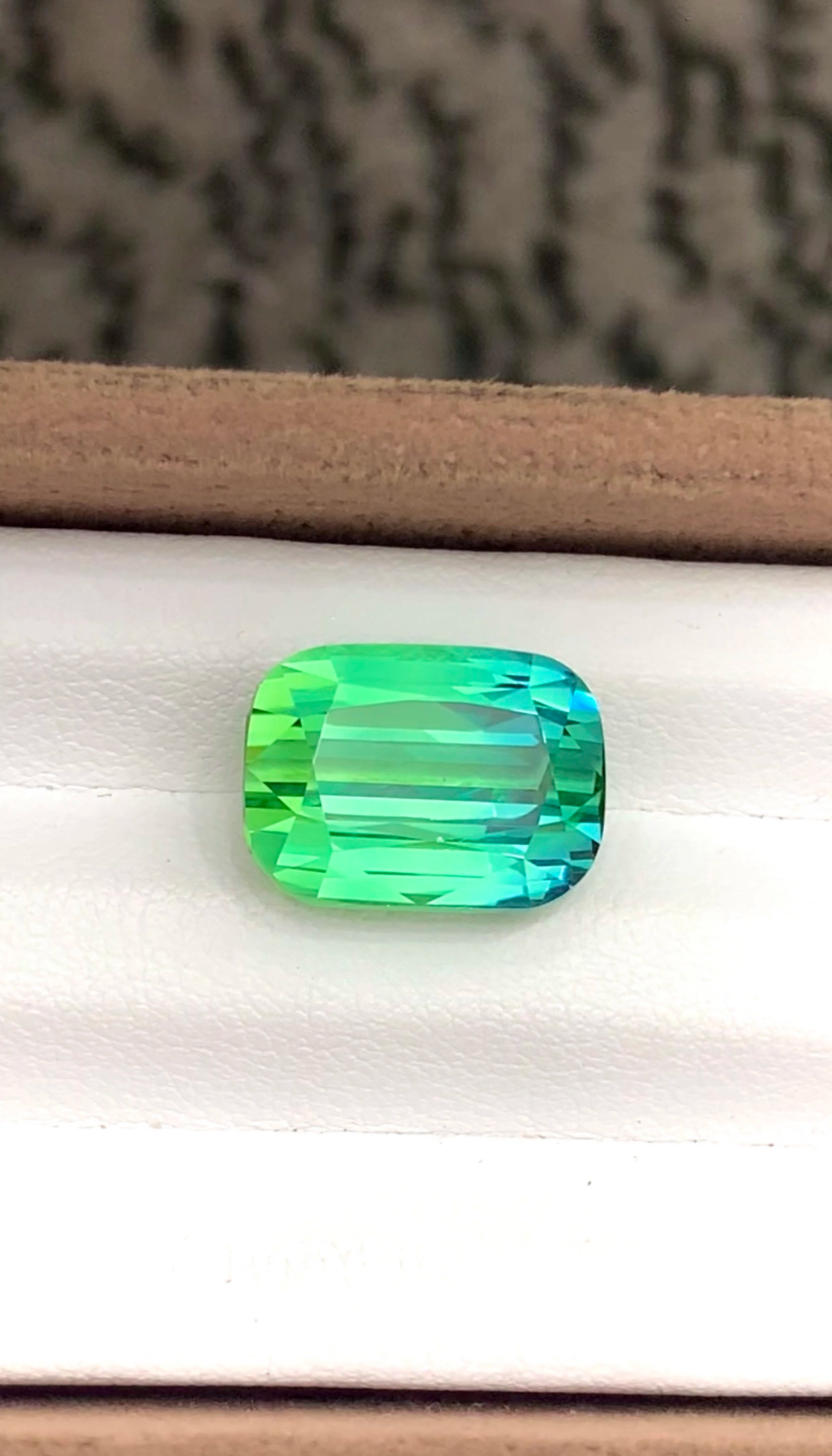 Presenting 11.00 cts Unique Combination of Bi-Color Tourmaline Gemstone