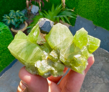 Peridot Crystals with Magnetite from Pakistan, 115 gram