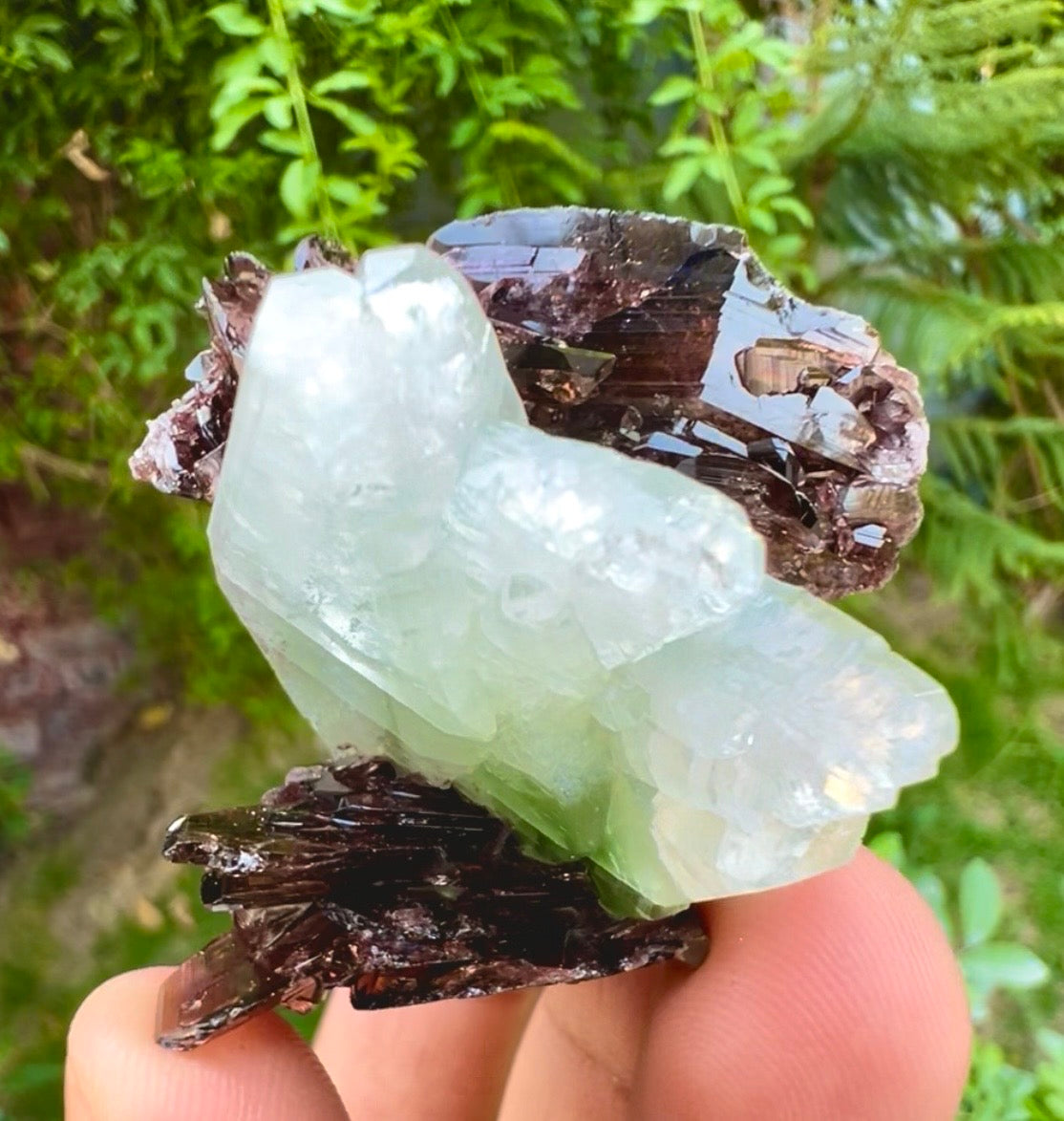 Axinite crysals with Pericline from Pakistan, 58 gram