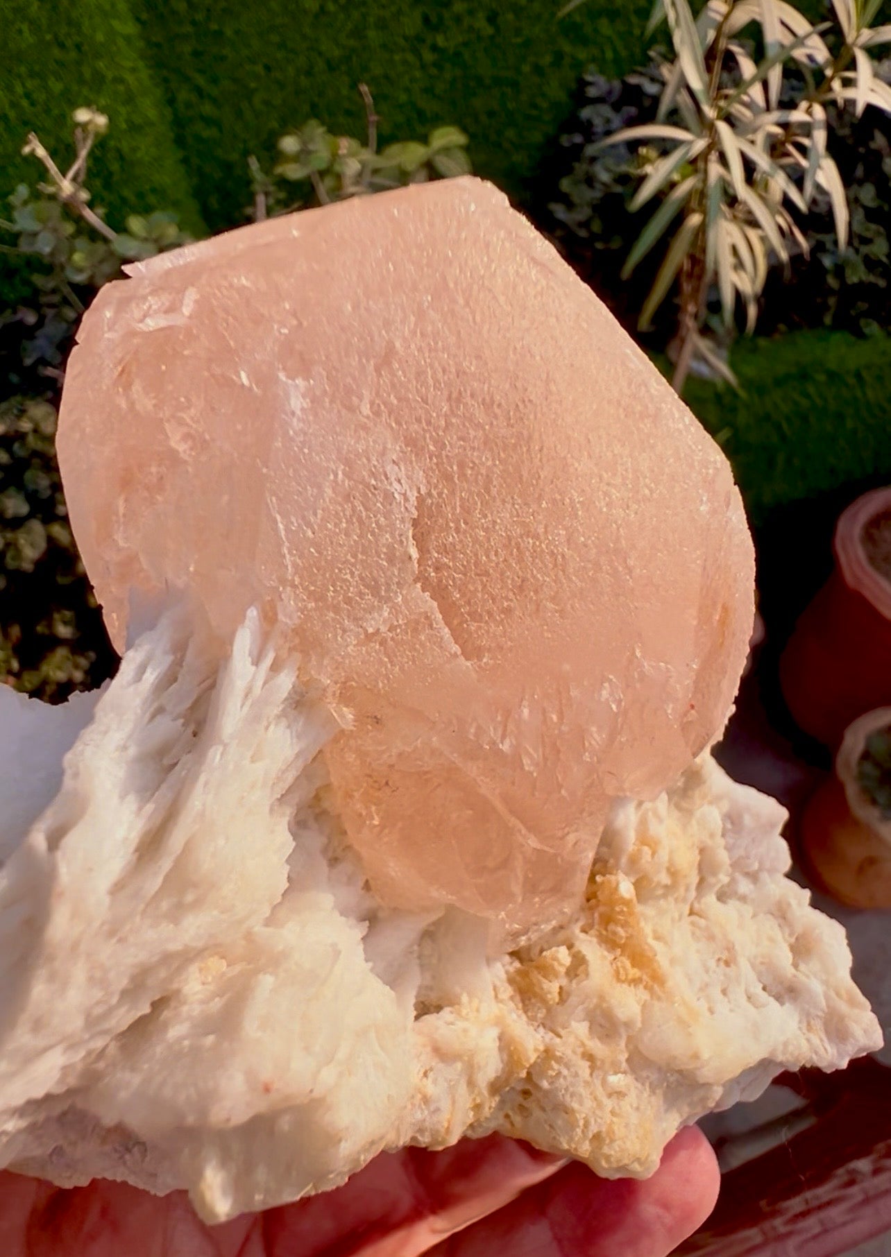 Morganite with Mica and Albite from Afghanistan, 699 gram