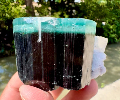 Blue Cap Tourmaline, Pink Lepidolite, Quartz and Albite specimen from Afghanistan, 205 gram