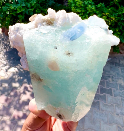 Aquamarine with Blue Indicolite Quartz and Albite from Afghanistan, 1277 gram