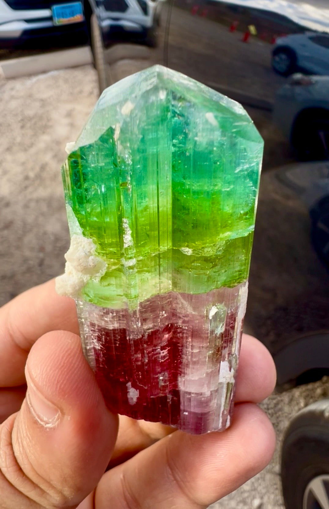 Watermelon Tourmaline Crystal with Lepidolite and Microlite from Paprok, 78 gram